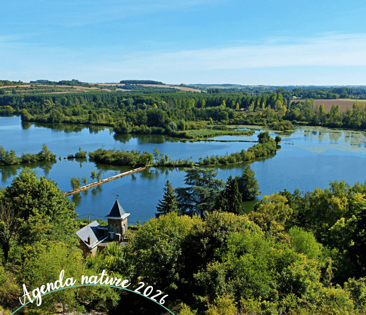 Balade contée avec le conteur Vincent Gougeat